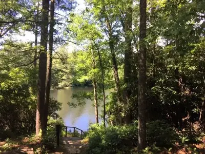 View from Small Picnic Shelter