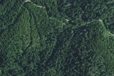 Camp site