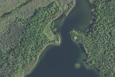 Tofte Lake Site 1