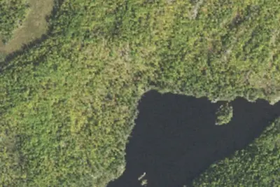Camp site