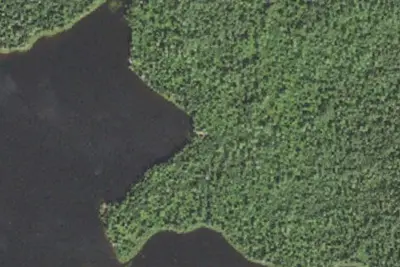 Camp site (USFS)