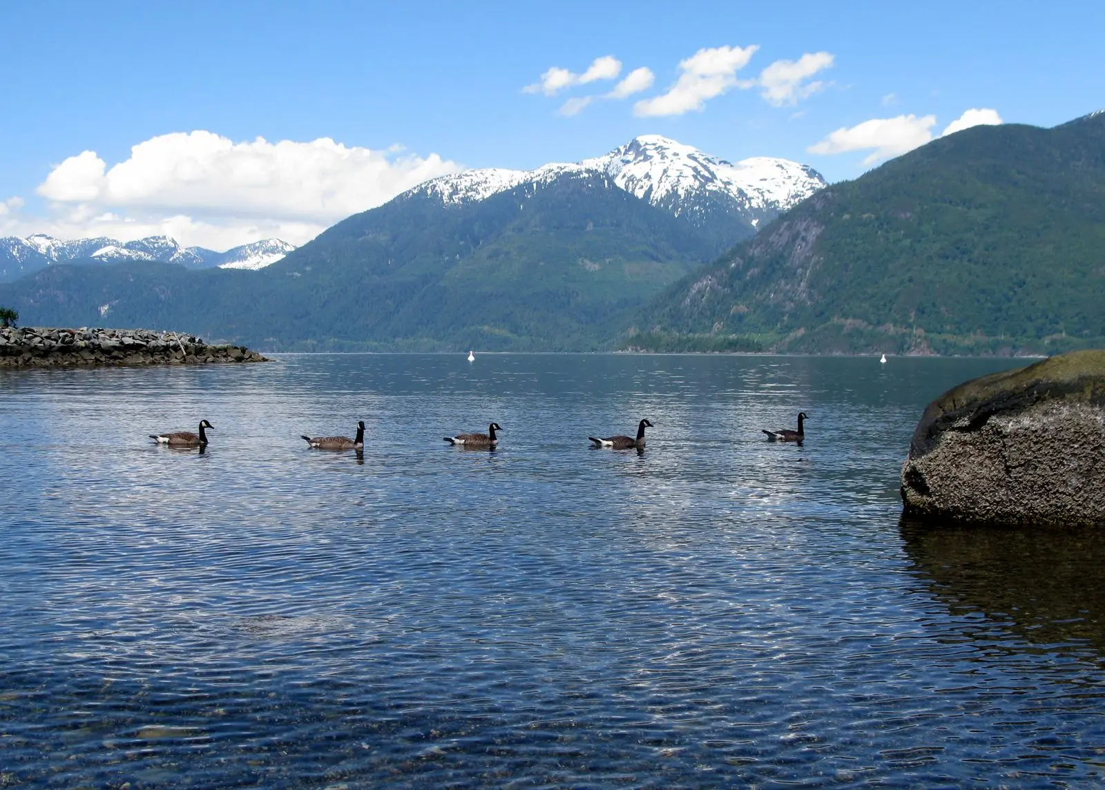Photo of Porteau Cove Park