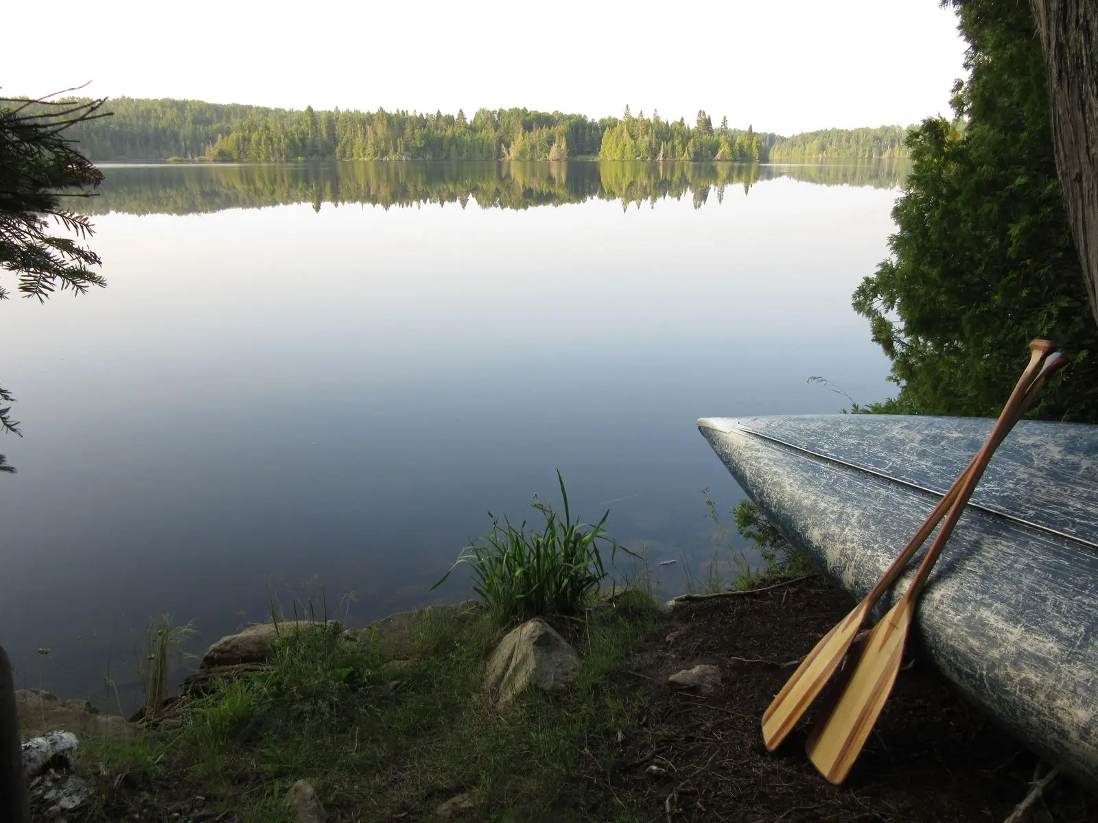 Intermediate Lake by Canoe