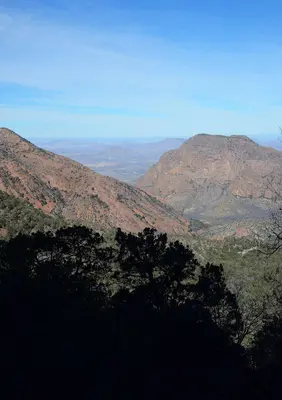 The window - panoramio