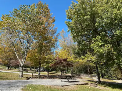 NT 10-10 Fall in the Campground