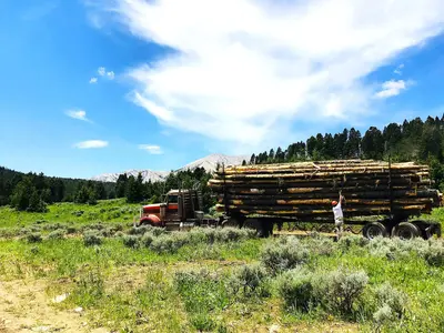 Custer Gallatin 2023 Photo contest (53282962445)