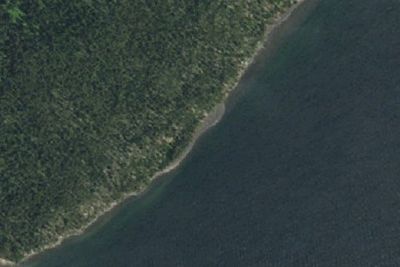 S Grizzly Beach