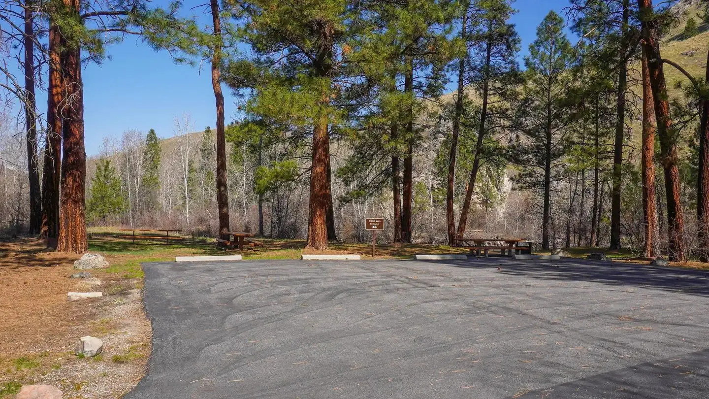 SPRING GULCH Campground Picnic Area View