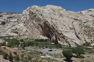 Dinosaur NM 18