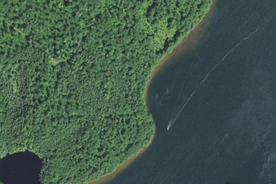Trout Lake Canoe 1