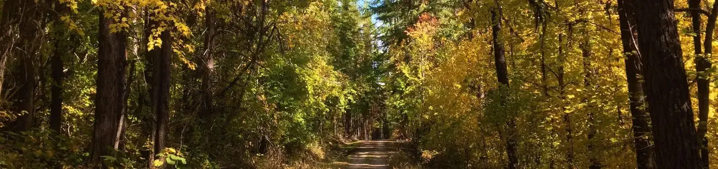 Colville National Forest