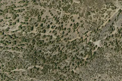 Coon Creek Yellow Post Sites