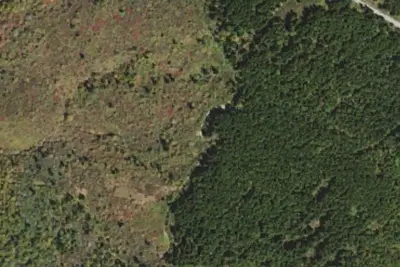 Camp site