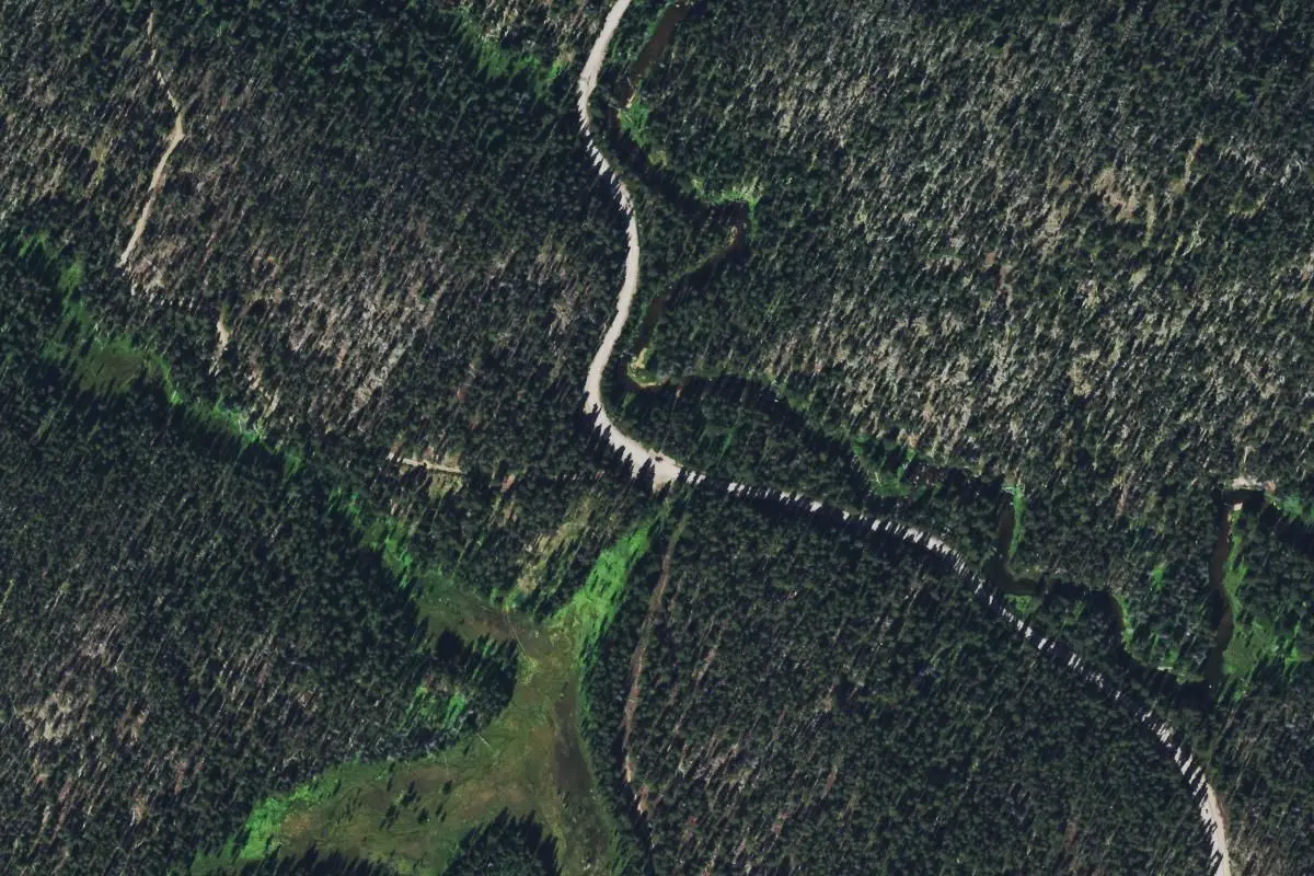 Aerial view