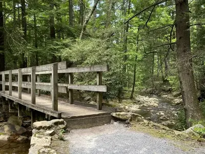 Horse Creek Campground Trail Bridge