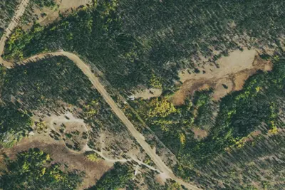 Camp site