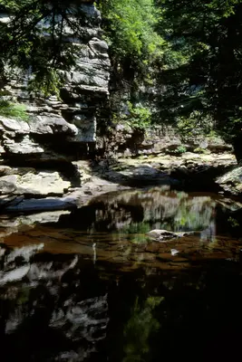 Cane Creek (3336130008)