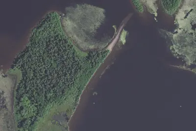 Camp site