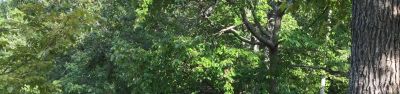 Chilhowee Group Camp