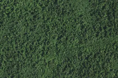 Camp site (NYSDEC)