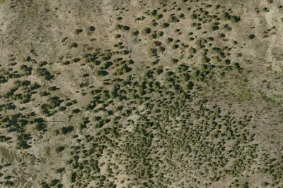 Camp site