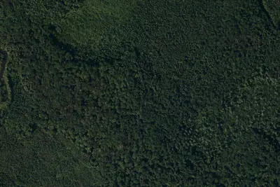 Site #3