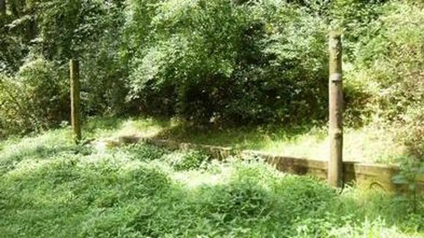 Wash creek