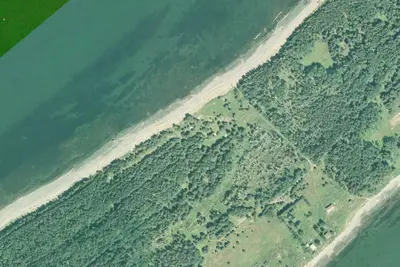 Camp site