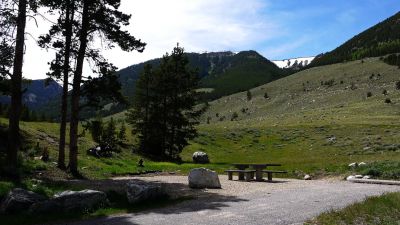 Limber Pine Campground