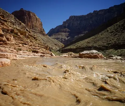 Muddy Little Colorado River (50533480408)