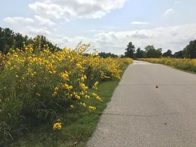 Prairie Flower Recreation Area 3