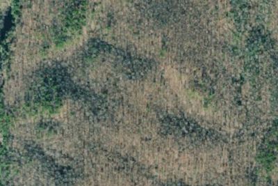 Primitive Campsite 2