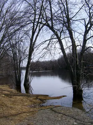Crowe River 3 (119015408)