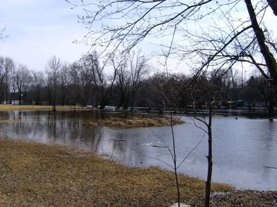 Crowe River 1 (119015338)