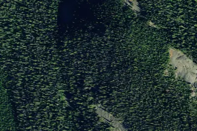 Wolverine Lakes Dispersed Site 8
