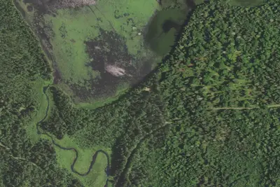Cloquet Lake Site 1