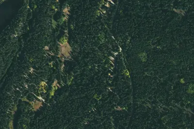 Camp site