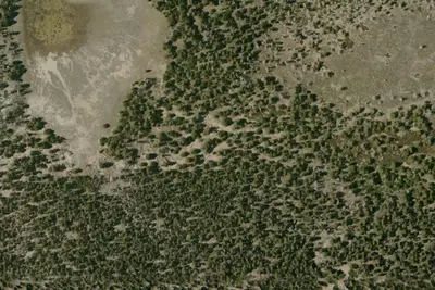 Dry Lake Lodgepole Camp