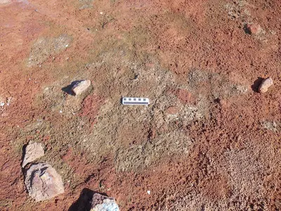 Microbes at Crystal Geyser