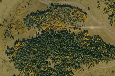 Gabaldon Horse Camp