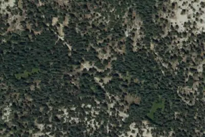 Buck Hill Campsite