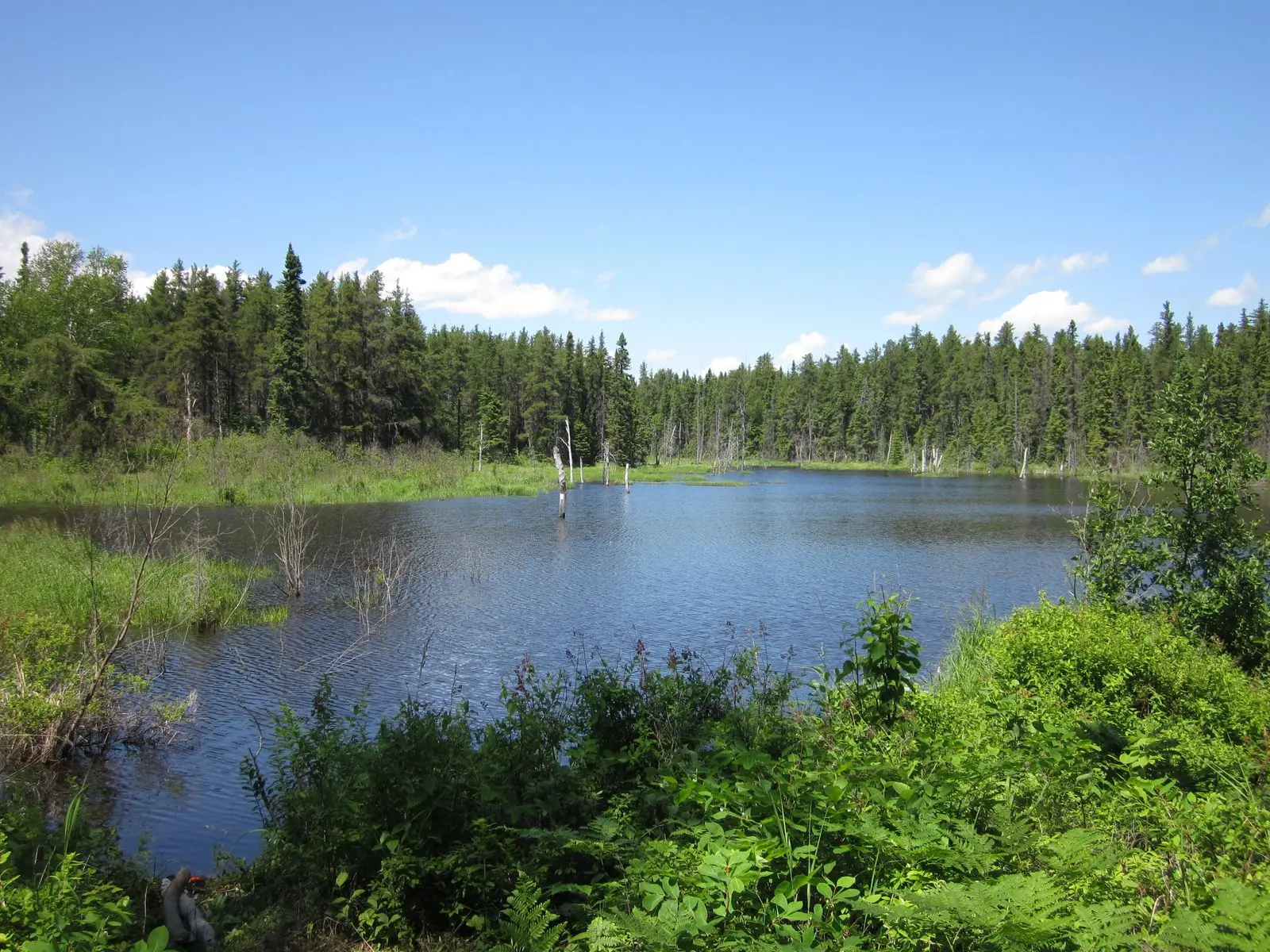Photo of Pointe-Taillon National Park