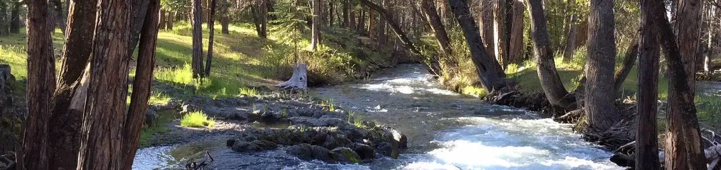 Image of Hat Creek surrounded by trees.