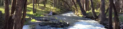 Hat Creek