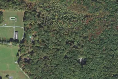 Shady Wood