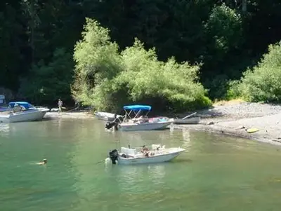 Fir Cove Campground Ruth Lake Shoreline
