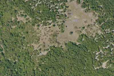 Camp site