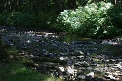 Rock Creek Oregon Coast (Siuslaw National Forest, OR)