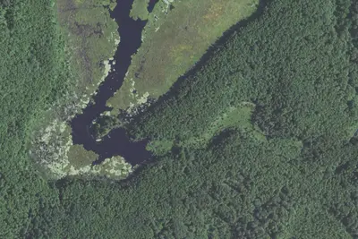 Sht- South Carlson Pond