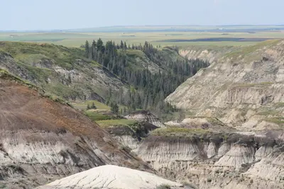 Horseshoe Canyon Drumheller Alberta. (8532119577)